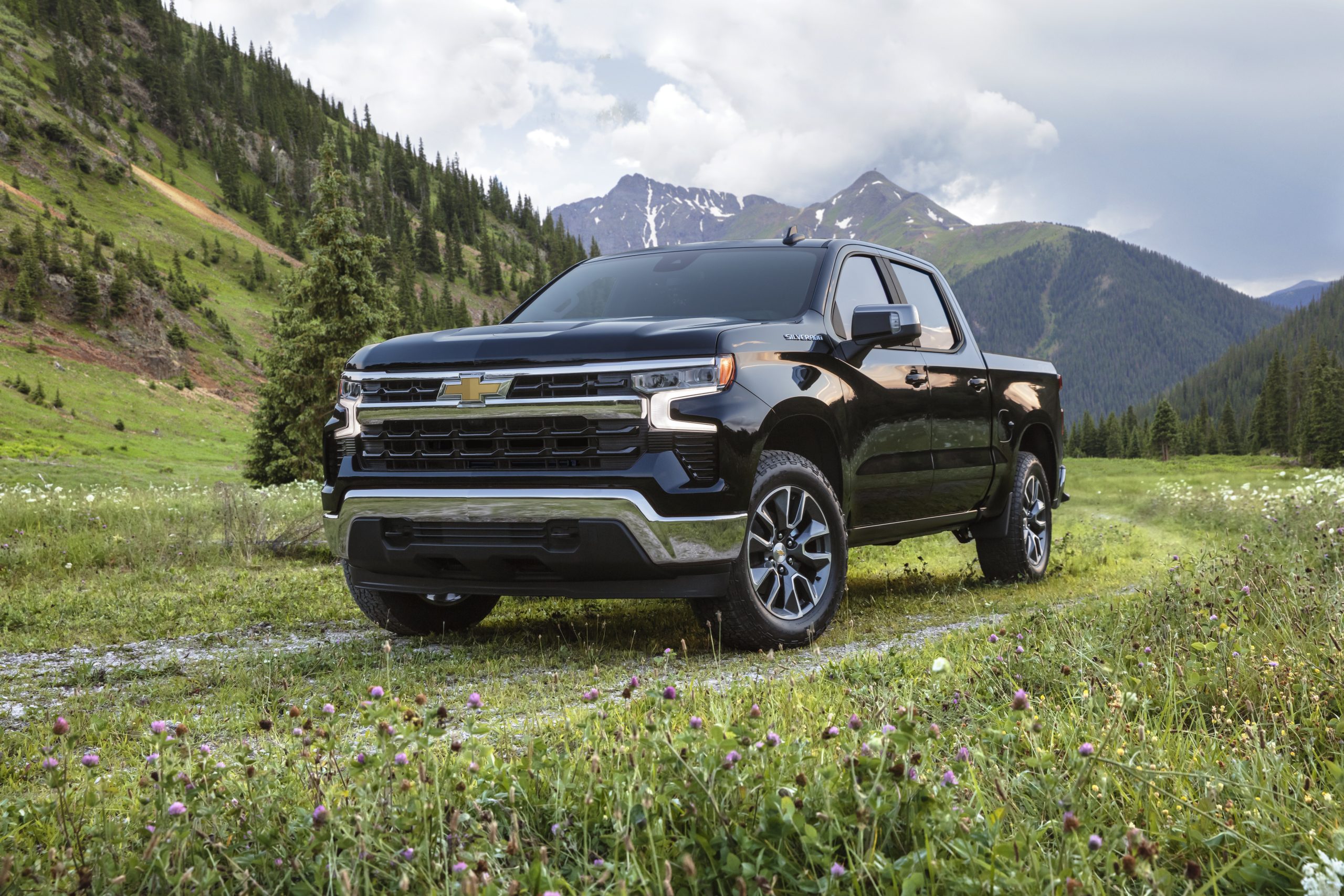 Chevrolet Silverado truck available at Cecil Clark Chevrolet in Leesburg, Florida serving Central Florida families and truck buyers