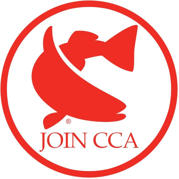 Join CCA
