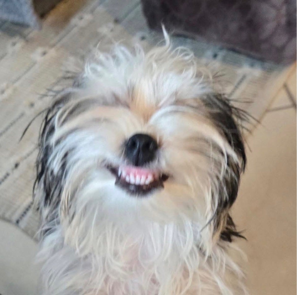 Benson